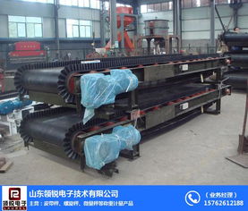 山东领锐电子 图 皮带秤报价 皮带秤