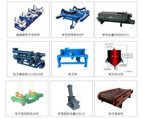 甘肃皮带秤批发与承德盛科产品详解 高清图片展示与技术优势